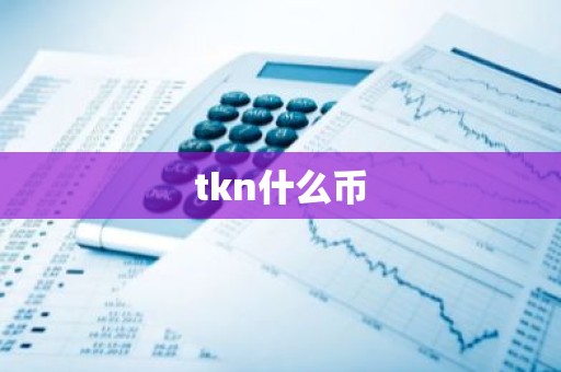 tkn什么币