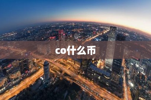 co什么币