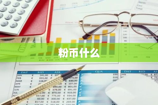 粉币什么