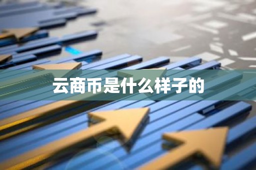 云商币是什么样子的