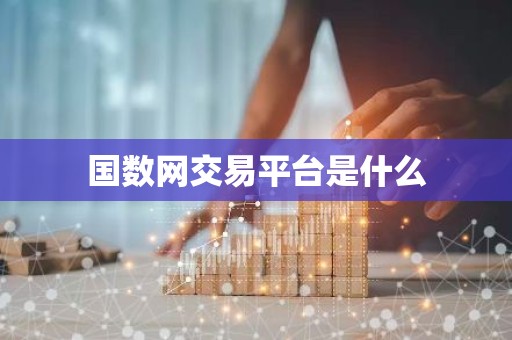 国数网交易平台是什么