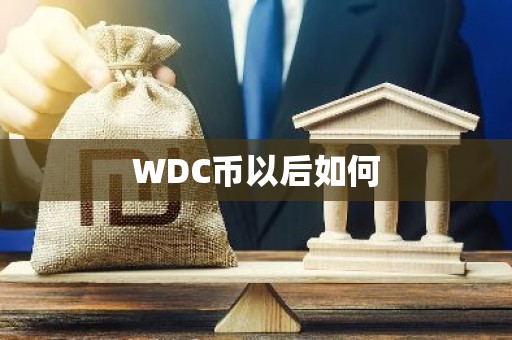 WDC币以后如何