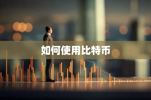 如何使用比特币