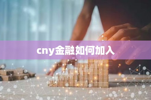 cny金融如何加入