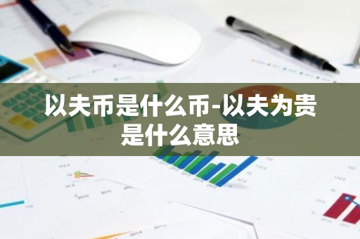 以夫币是什么币-以夫为贵是什么意思