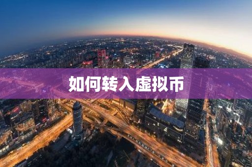 如何转入虚拟币