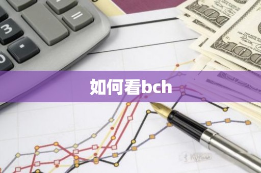 如何看bch