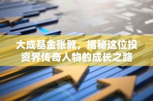 大成基金张翼，揭秘这位投资界传奇人物的成长之路