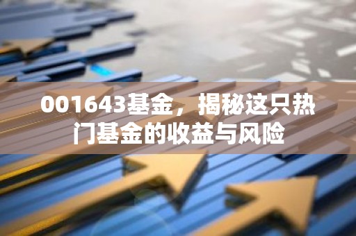 001643基金，揭秘这只热门基金的收益与风险