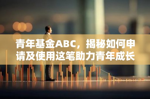 青年基金ABC，揭秘如何申请及使用这笔助力青年成长的资金