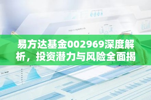 易方达基金002969深度解析，投资潜力与风险全面揭秘
