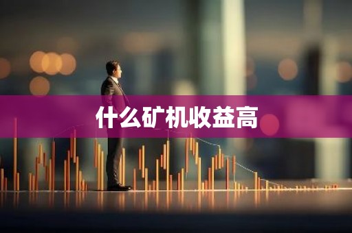 什么矿机收益高