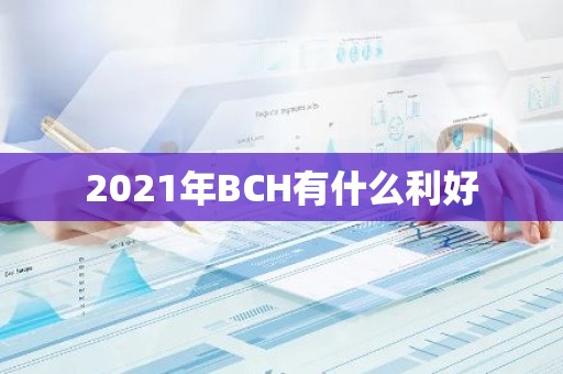 2021年BCH有什么利好
