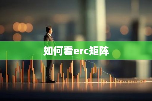 如何看erc矩阵