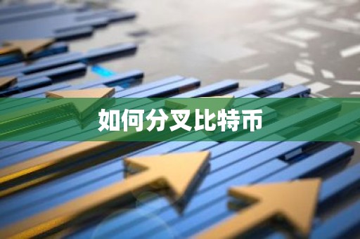 如何分叉比特币