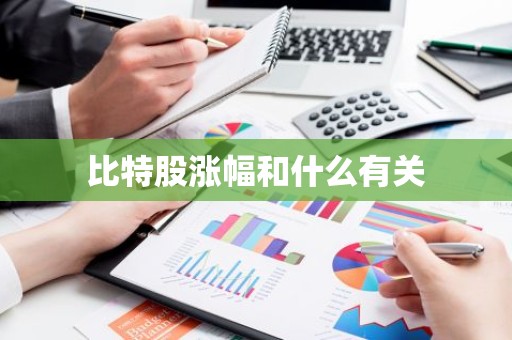比特股涨幅和什么有关