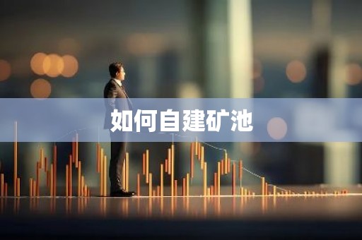 如何自建矿池
