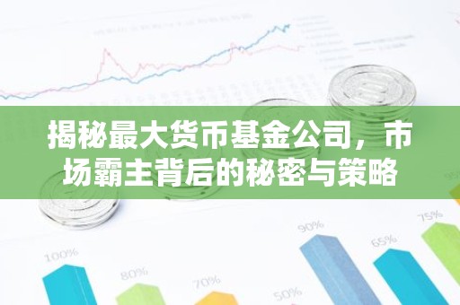 揭秘最大货币基金公司，市场霸主背后的秘密与策略
