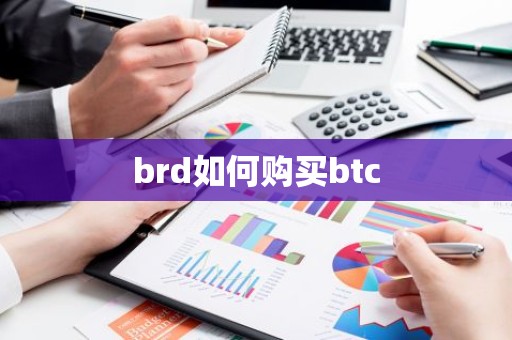 brd如何购买btc