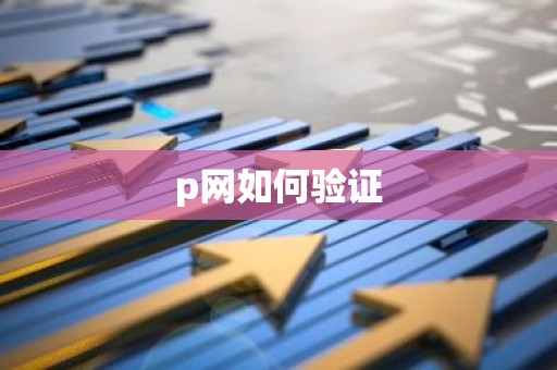 p网如何验证