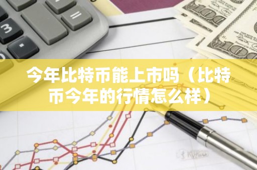 今年比特币能上市吗（比特币今年的行情怎么样）