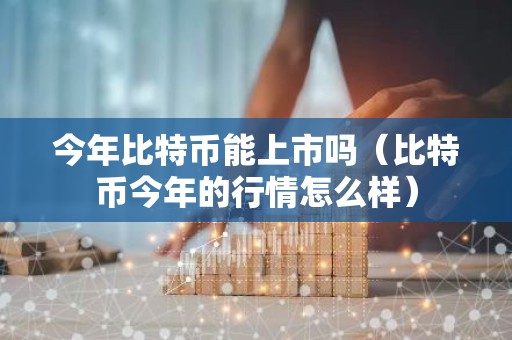今年比特币能上市吗（比特币今年的行情怎么样）