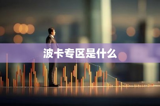 波卡专区是什么