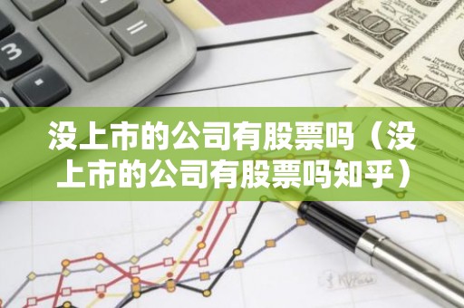没上市的公司有股票吗（没上市的公司有股票吗知乎）