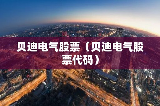 贝迪电气股票（贝迪电气股票代码）