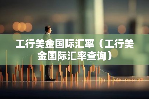 工行美金国际汇率（工行美金国际汇率查询）