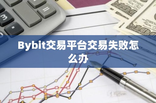 Bybit交易平台交易失败怎么办