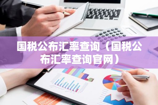 国税公布汇率查询（国税公布汇率查询官网）