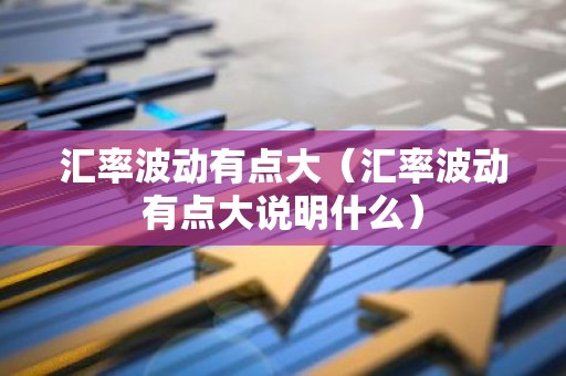 汇率波动有点大（汇率波动有点大说明什么）
