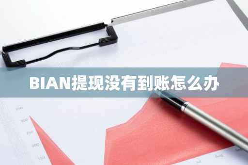 BIAN提现没有到账怎么办