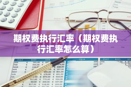 期权费执行汇率（期权费执行汇率怎么算）