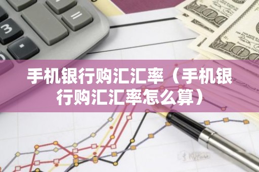 手机银行购汇汇率（手机银行购汇汇率怎么算）