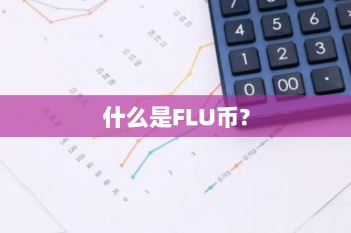 什么是FLU币?