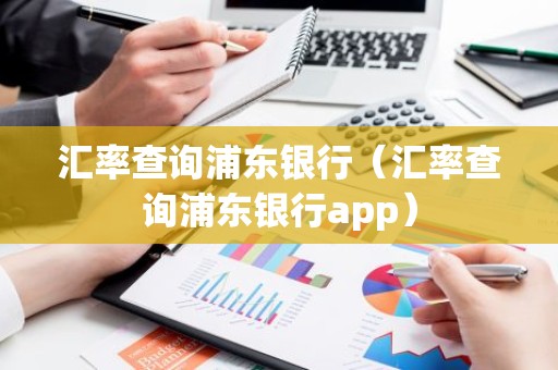 汇率查询浦东银行（汇率查询浦东银行app）