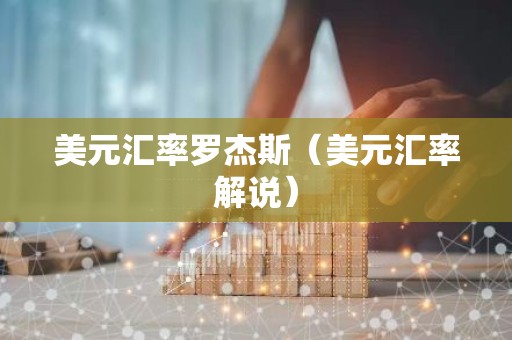 美元汇率罗杰斯（美元汇率解说）