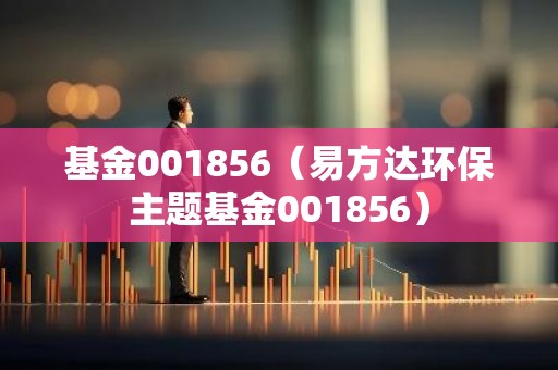 基金001856（易方达环保主题基金001856）