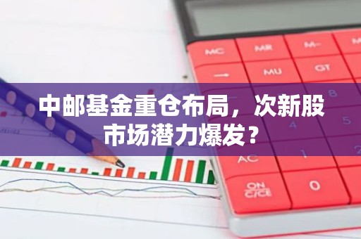 中邮基金重仓布局，次新股市场潜力爆发？