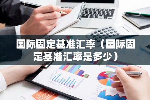 国际固定基准汇率（国际固定基准汇率是多少）