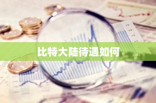 比特大陆待遇如何