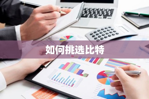 如何挑选比特