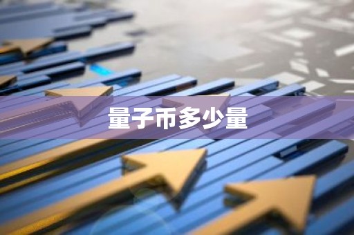 量子币多少量