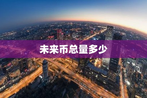 未来币总量多少