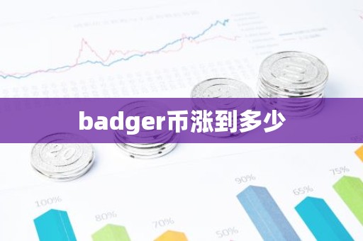 badger币涨到多少