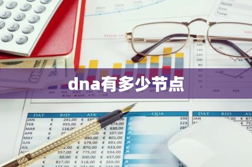 dna有多少节点