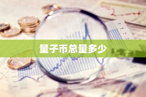 量子币总量多少