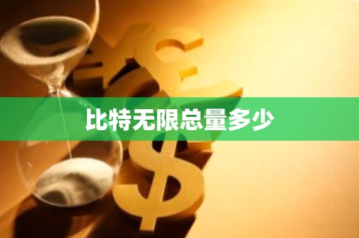 比特无限总量多少